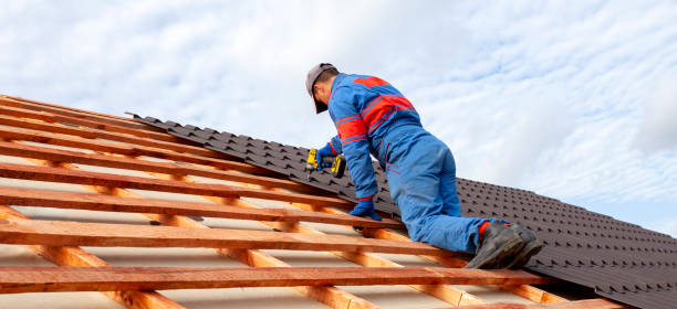 Best Roof Moss and Algae Removal  in Loma, CO