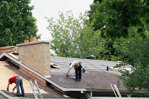 Best Gutter Replacement  in Loma, CO