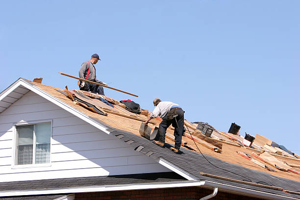 Best Emergency Roof Repair Services  in Loma, CO