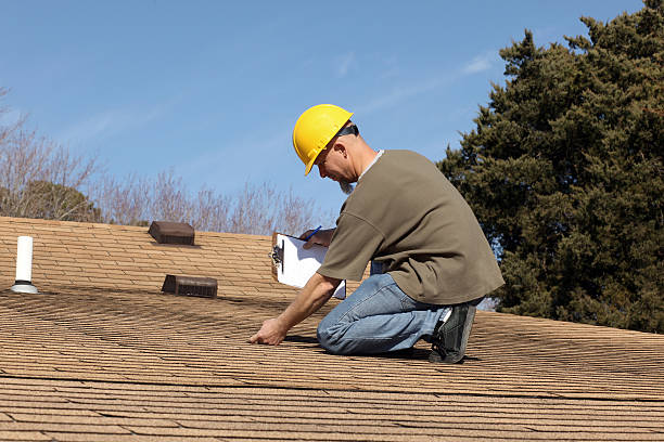 Best Chimney Flashing Repair  in Loma, CO