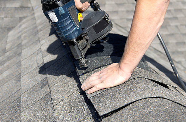Best Sheet Metal Roofing  in Loma, CO