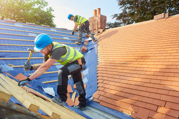 Best Solar Panel Roofing Installation  in Loma, CO
